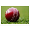 Monday 8th August - Cricket World Cup