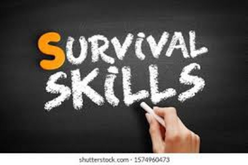 Thursday 4th August Survival Skills