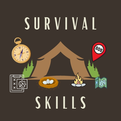 Survival Skills - 28/05/2024